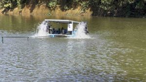 ครบชุดพร้อมใช้งาน กังหันตีน้ำโซล่าเซลล์ รุ่น4 ใบพัด 24/500W กังหันน้ำ เครื่องบำบัดน้ำเสีย เครื่องเติมอากาศ ออกซิเจน