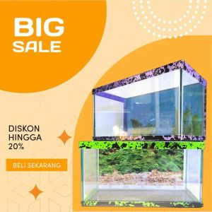 Aquarium minimalis untuk ikan cupang atau baby chana