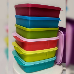 Tupperware Brands Square Divided & Square Away Lunchbox