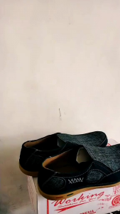 Sepatu Casual Pria Dewasa Terbaru & Tips Memilih