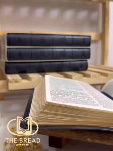 HOLMAN NAVY BLUE LEATHER TOUCH | KJV COMPACT BIBLE