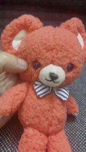 My Book Bear Teddy Amuse 16cm lông mềm mịn xoắn