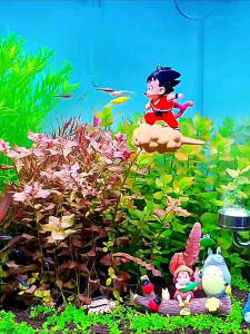 Hiasan ornamen aquarium Dragon Ball