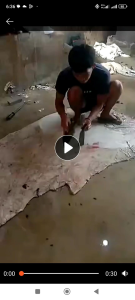 Pisau Penghilang Lemak Gajih pada Kulit Sapi: Panduan Lengkap