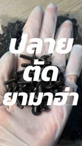 (ราคาส่ง!!!) ถุงละ 1000 ตัว!! สกรูเกลียวปล่อย ปลายตัด หัวแฉก ชุบดำ 5x16 (ใช้กับกิ๊บเกลียวปล่อยเบอร์ 10) YAMAHA