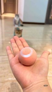 SG Seller Indoor Playing Automatic Rolling Ball Electric Cat Ball Toy Multi-Color for Cats Self-moving Toy Cat Toy