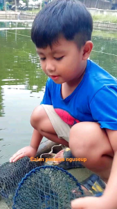 Combo essen pineapple 15ml siap mancing
