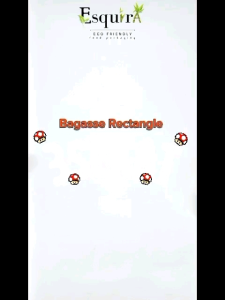 Bagasse Rectangle Japanese 3 Sekat / 10 Pcs / BBJB