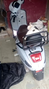 behel sandaran jok belakang keeway 1200 Lz enine uwinfly t3 s pro smoot zuzu primavera greantech