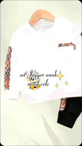 Baju Anak Laki Laki Setelan Jogger Cele Balita Gambar Karakter tiger