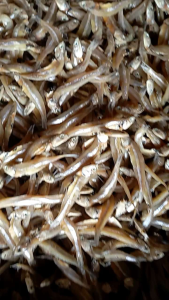 Ikan Asin Teri Jengki Cop/Cemek 1 Kg