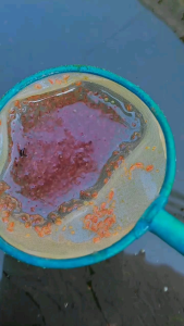 KμTμ 4lR D4₱HlN4 M4GN4 Makanan Ikan Hias Cupang Guppy Molly DLL