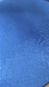 น้ำยากำจัดตะไคร่น้ำ สูตรเข้มข้น ปรับสภาอน้ำใสสีฟ้าสวย 1420 ลิตร