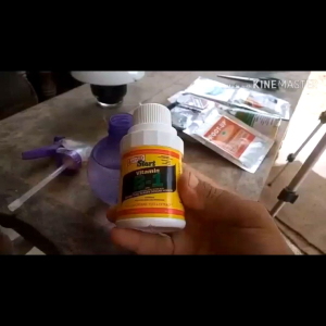 Vitamin B-1 Liquinox 100 ml Original Pupuk Anti Stres Tanaman