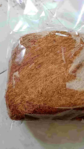 Daun Talas Kasturi Lombok Antep