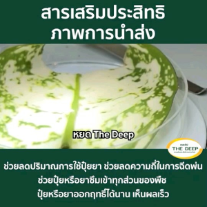 สารเสริมเพิ่มประสิทธิภาพ เดอะดีฟ สารนำส่งประสิทธิภาพสูง