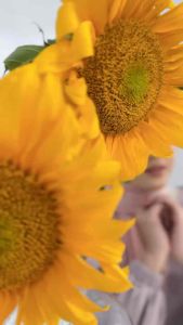 PROMO HARGA KHUSUS NADHEERA N010 SEGIEMPAT VOAL POLOS