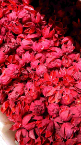 Kelopak Rosella Merah: Perlengkapan Foto Produk & Properti Bunga