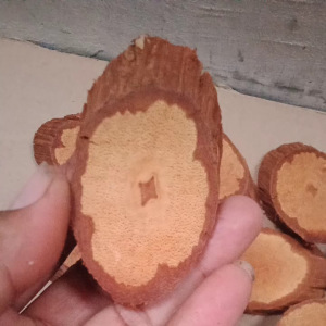 akar bajakah kalawit merah asli Kalimantan