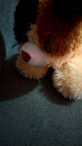 Boneka Kucing Dasi Cute Cat Doll Pericat Karakter Binatang Mainan Anak Kado Souvenir