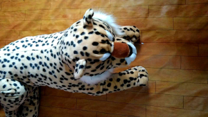 BONEKA KUCING MACAN HARIMAU SINGA TIGER DOLL JUMBO BESAR KARAKTER BINATANG MAINAN ANAK KADO SOUVENIR