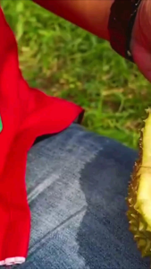 Bibit Durian Musangking Okulasi Asli