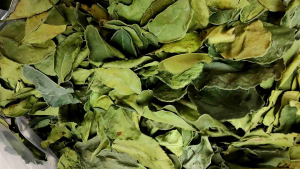 ใบมะกรูด ใบมะกรูดอบแห้ง  แผงเครื่องเทศ ขนาด 12 ห่อต่อแผง