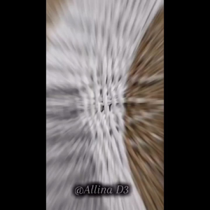 Celana pendek cargo anak Celana pendek anak laki laki usia 3-12 tahun