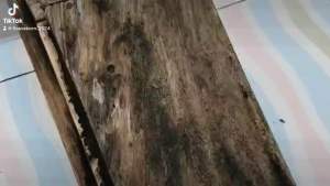 น้ํายาทําความสะอาดไม้ ทําความสะอาดเนื้อไม้ คราบราบนไม้ ล้างไม้ ขนาด 1000 ml.