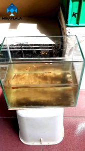 INTERNAL FILTER SUSUN AQUARIUM KOLAM IKAN