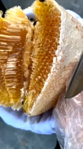 [Chuẩn] Mật Ong Khoái Rừng Lai Châu Nguyên Chất Bao Đổi Trả 100% Ong Khoái Tự Nhiên Vị Ngọt Thanh