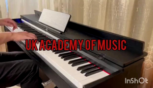 UK ​​​​​​​Exam Grade Digital Piano Hammer Action Fully Weighted 88 Keys+Piano Stool+Malaysia Adapter+Manual User