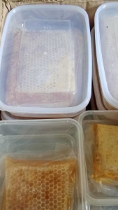 Sarang madu asli 100℅