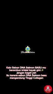 Sabun Basu per kotak isi 6 Pcs