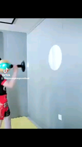 Bóng đấm boxing phản xạ loxo gắn tường/để bàn