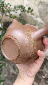Ấm bizen goma xước nhẹ và tokoname lọc sasemi lỗi núm
