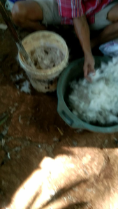 UMPAN KUCUR PAKET HEMAT 100 GRAM / UMPAN KUCUR SPECIAL IKAN BAUNG