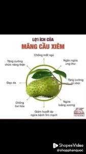 (Gói 250g) Trà mãng cầu xiêm đã sao vàng (nhiều trà)