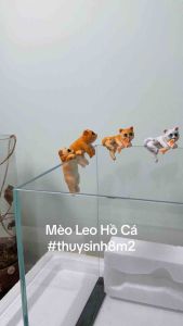 Mèo Leo Hồ Cá | Tượng Trang Trí Hồ Cá Hồ Bán Cạn Hồ Thủy Sinh | 8m2