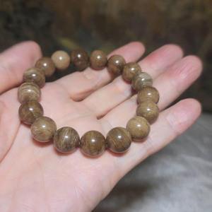 Gegegems Collection 12mm premium aged Madagascar Petrified Wood bracelet [Natural Crystal]