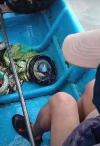 Essen GEDIBAL FISHING PREMIUM essen untuk ikan nila dan mujahir