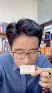 Bánh Sữa Non Lên men Lactobacillus bổ sung collagen tốt cho hệ tiêu hóa YOGURT hộp 10 gói