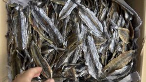 ปลาเข็มหวานปลาเข็มแสนอร่อยขนาด500กรัม