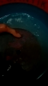 Batu Asah Bulat & Grinda Duduk 14x3 cm: Panduan Lengkap