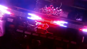 LED WS2811 ORIGINAL 12V BAHAN LAMPU STROBO *TANPA MODUL 5meter sesuai foto Lampu tidak akan menyala tanpa modul