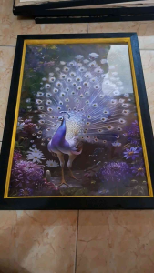 hiasan dinding Lukisan cetak Gambar Burung merak indah plus bingkai uk 45x65cm
