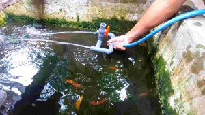 venturi kolam ikan cabang