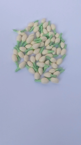 (100 pcs) melati imitasi premium palsu karnaval