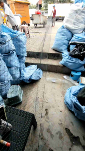 8 m x 145 m lubang 2cm x 2cm jaring pagar ayam atau bebek dll harga 1 pcs