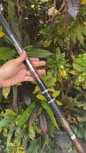 Joran Tegek Iguruai Keiryu Toray TN 360 450 540 Aksi Mediumo